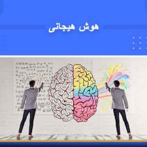 دوره آموزشی هوش هیجانی | نوین پارسیان